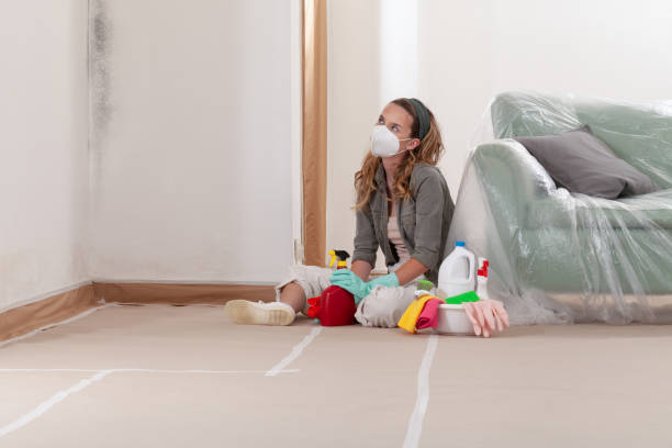 Reliable Mold Remediation contractor in Kingston, PA by WQB Mold Removal